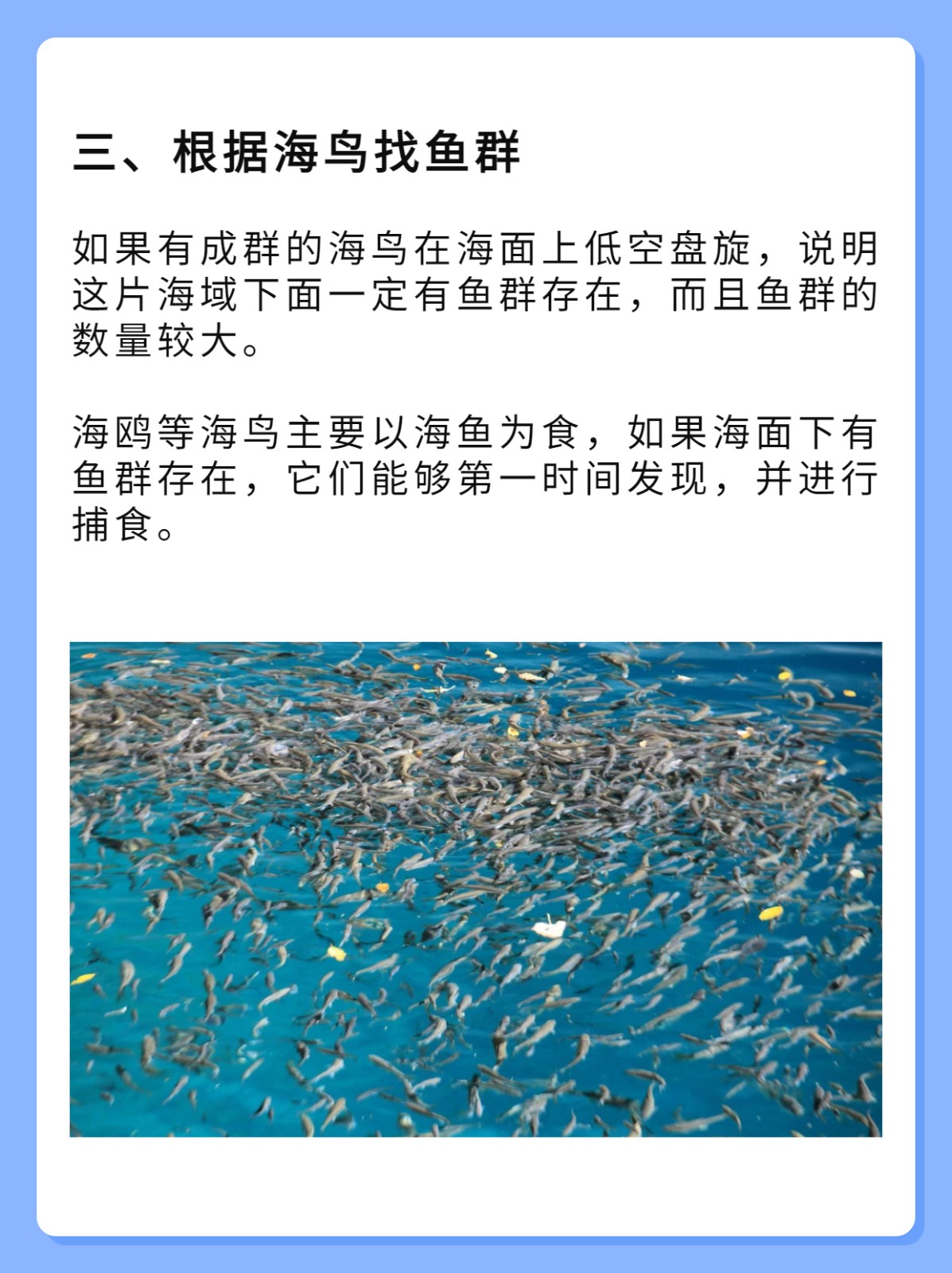 海钓怎么找鱼层(海钓怎么找鱼层最简单方法)