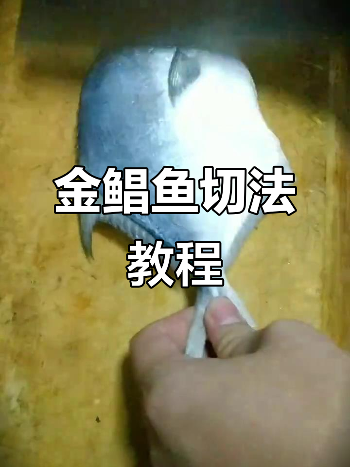 杀鱼有技巧吗(杀鱼的技巧和速度)
