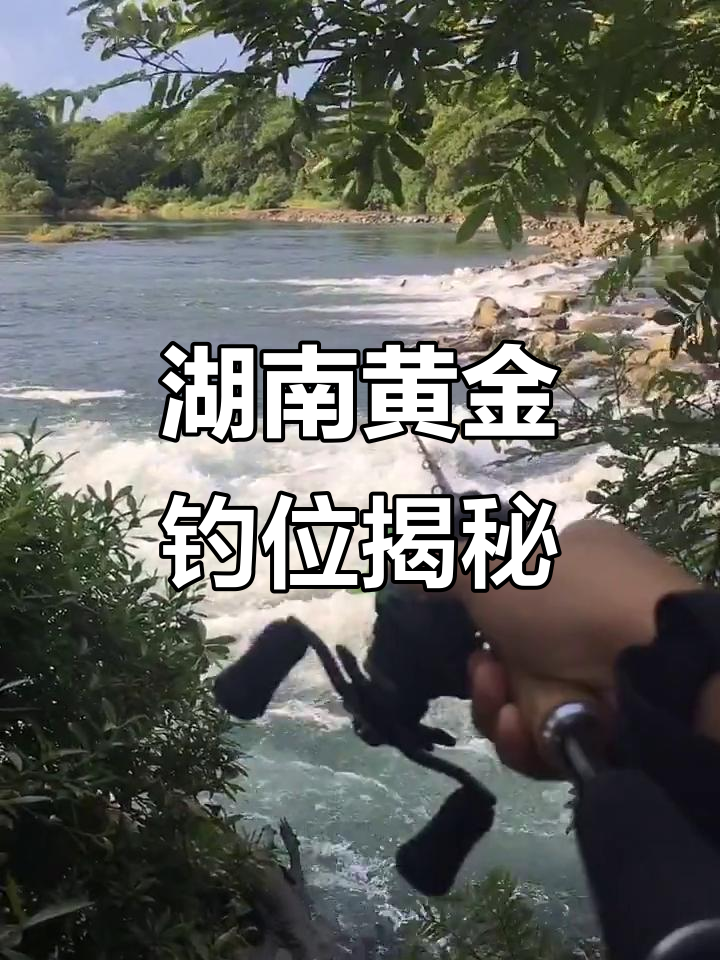 钓桂鱼技巧(钓桂鱼的最佳饵料)
