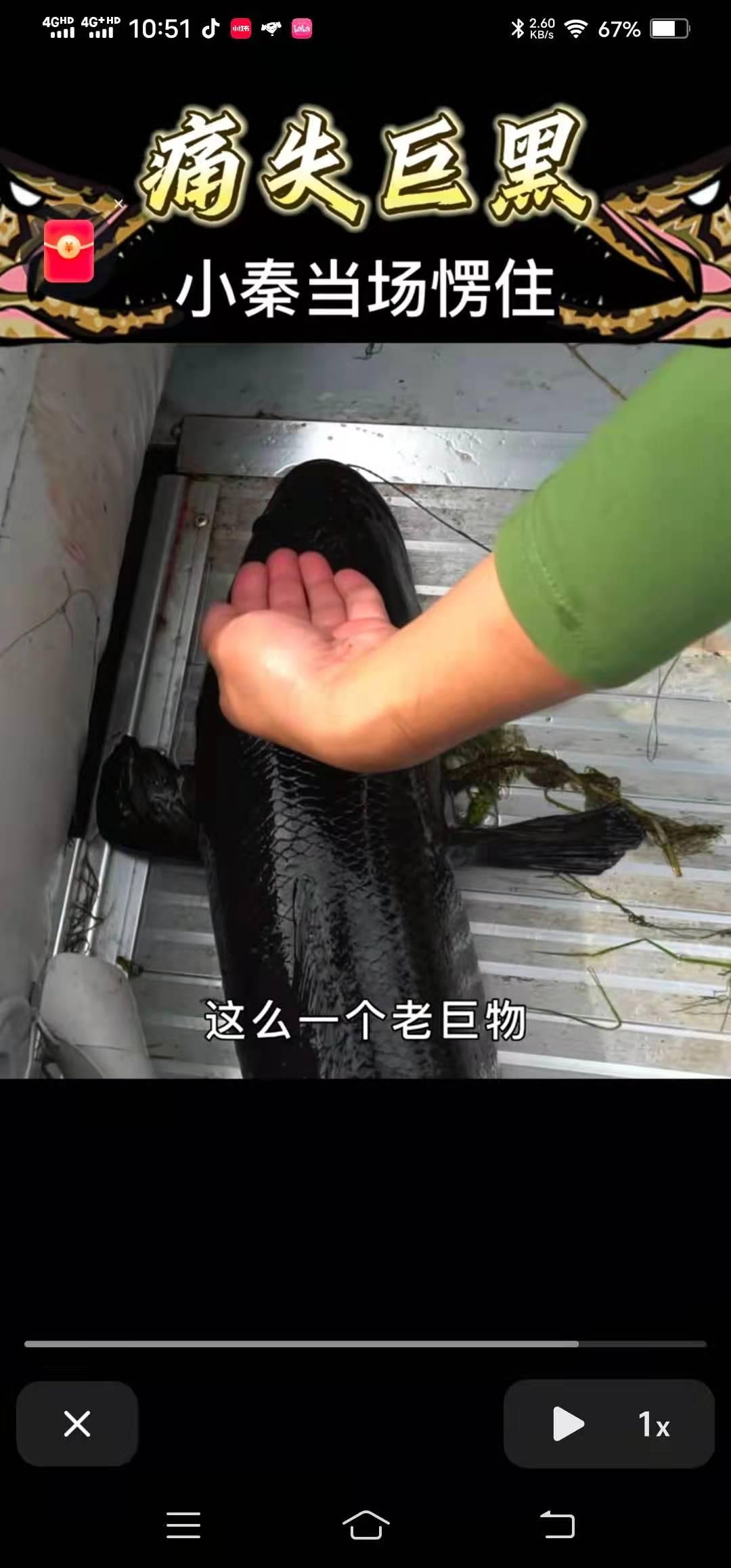 路亚钓黑鱼鱼视频(路亚钓黑鱼视频大全 13)