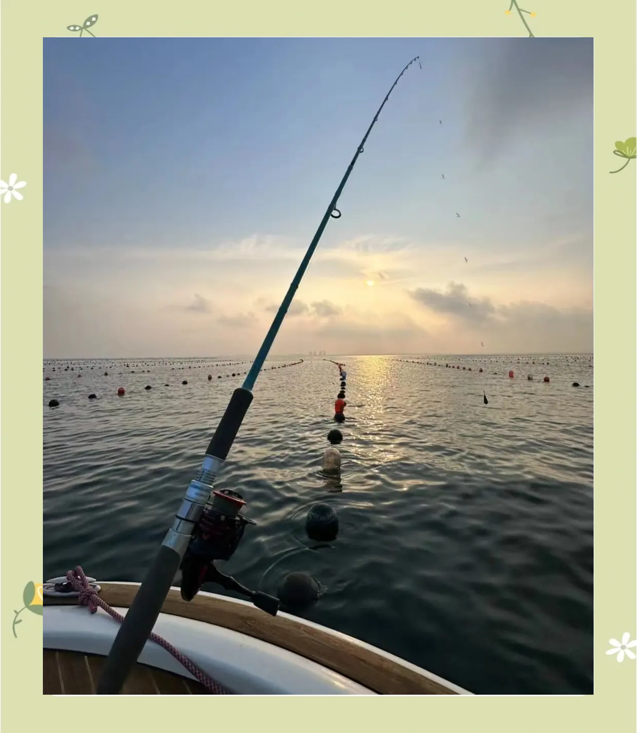 海钓燕鱼钓多深(海里的燕鱼怎么钓)