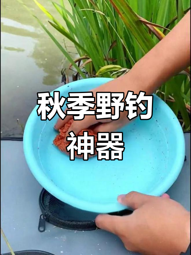 秋季用什么饵料好(秋季用什么饵料好钓翘嘴)