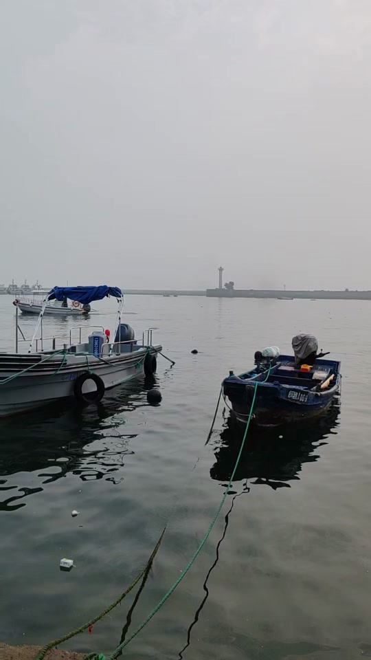 海阳海钓视频(海阳市有专门海钓的养殖场吗)