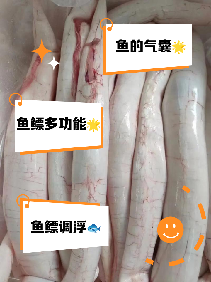 鱼鳔遛鱼技巧(钓鱼鱼鳔的做法)