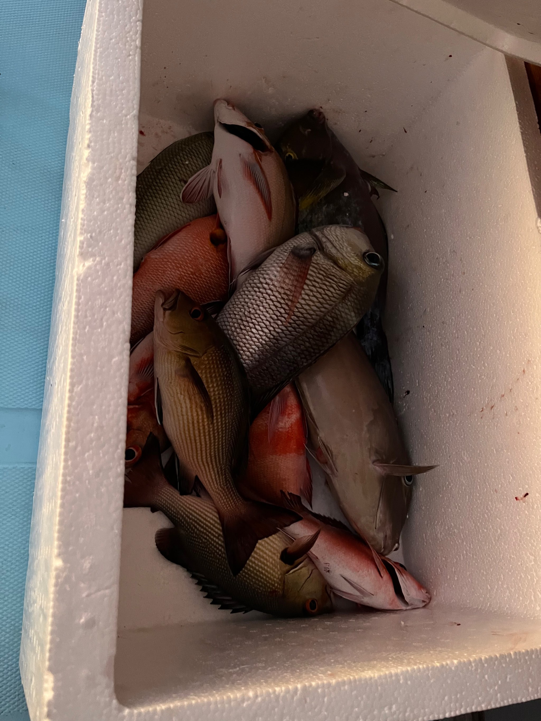 泉州那里有海钓(泉州海钓最佳位置)