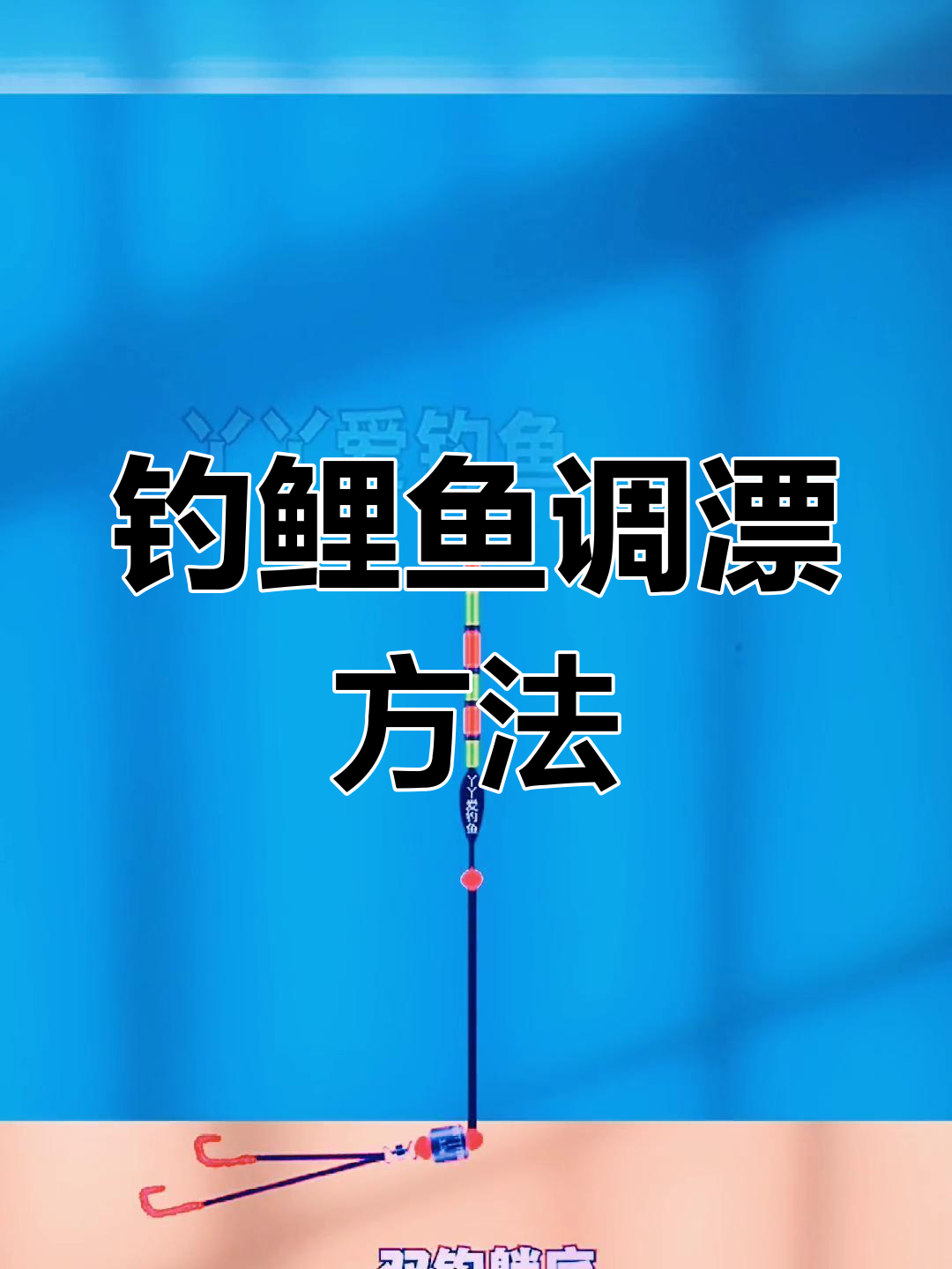 夏天黑坑钓回锅鲤鱼技巧(钓黑坑回锅鲤鱼用什么饵料最好)