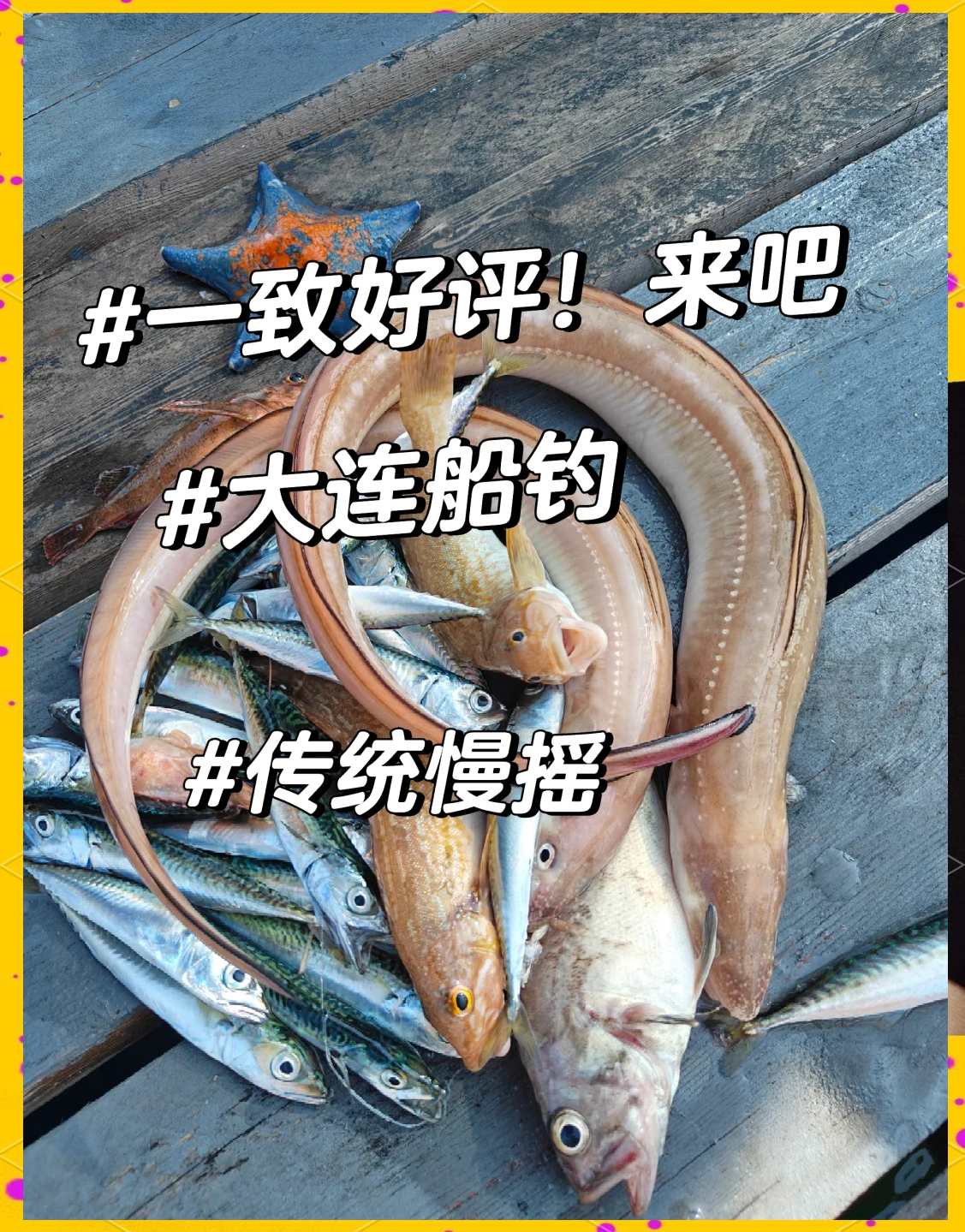 辽宁哪里能海钓(辽宁哪里可以海钓)
