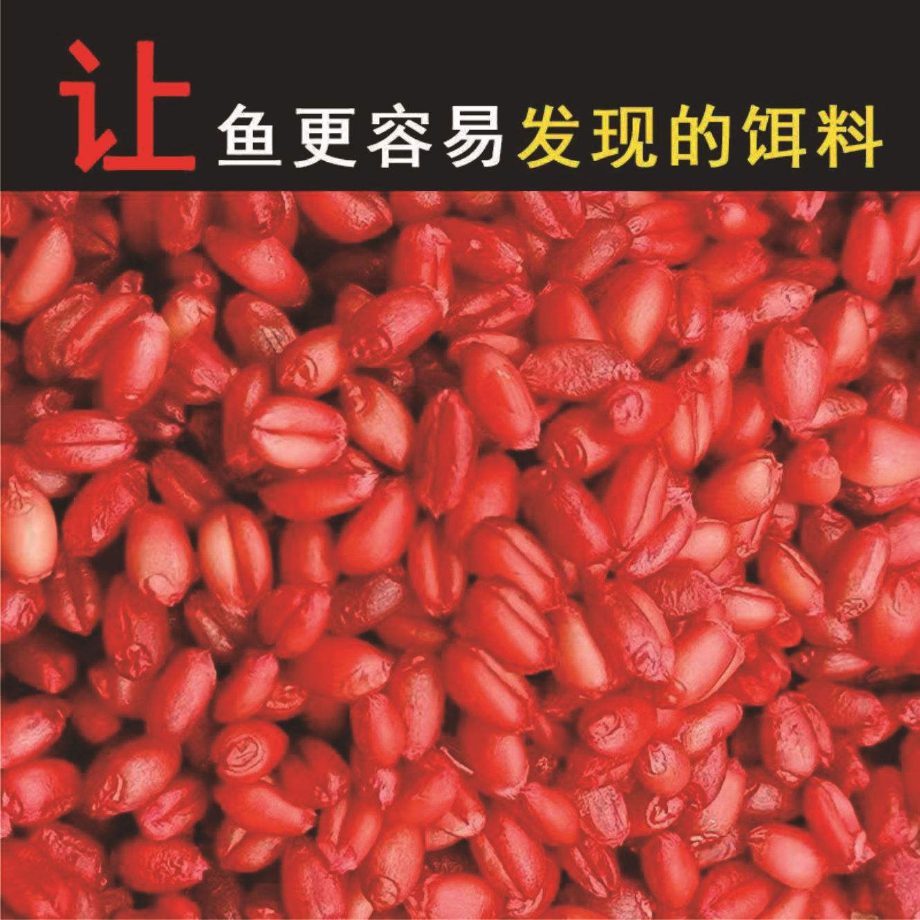 夏天钓鳊鱼用什么饵料(夏天钓鲻鱼什么饵料最好)