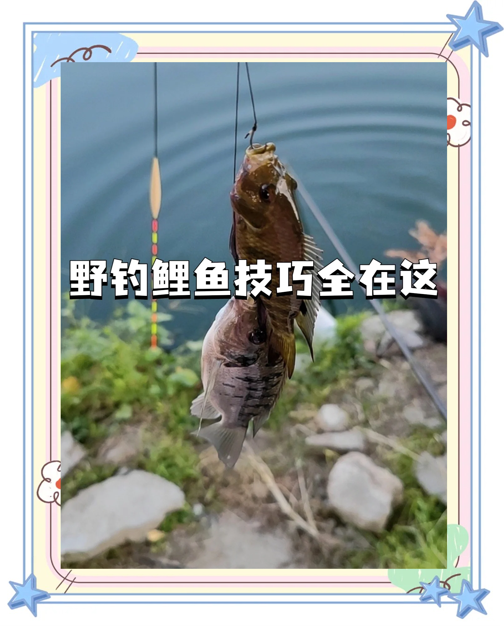 夏季野钓鲤鱼技巧的简单介绍