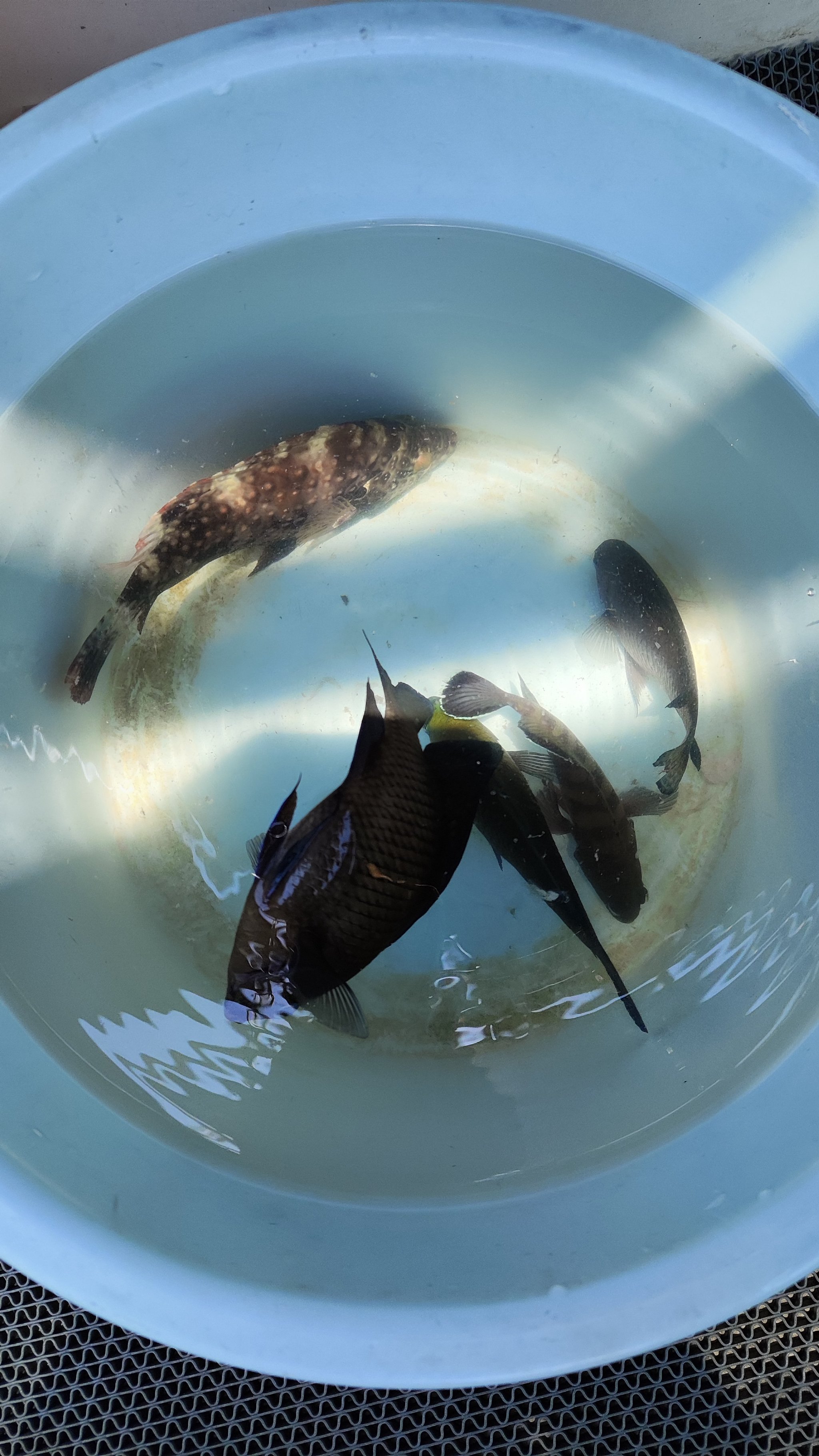 东海那里海钓最好(2020年东海海钓视频)