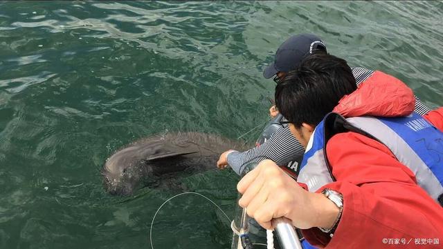 南海海钓水深(南海海钓深海鱼价格)