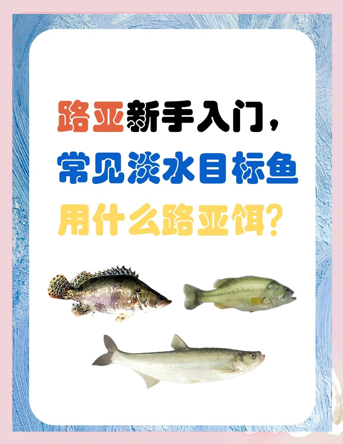 饵料经验(饵料绝密配方,忍痛公布)