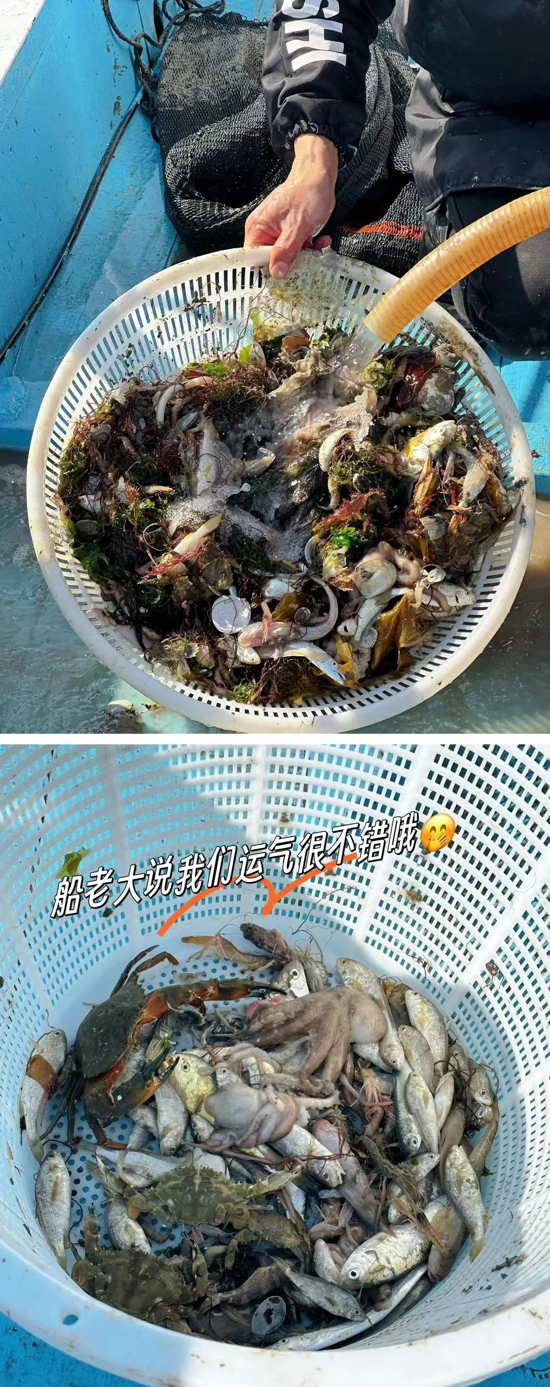 霞浦海钓租船(霞浦出海捕鱼租船价格)