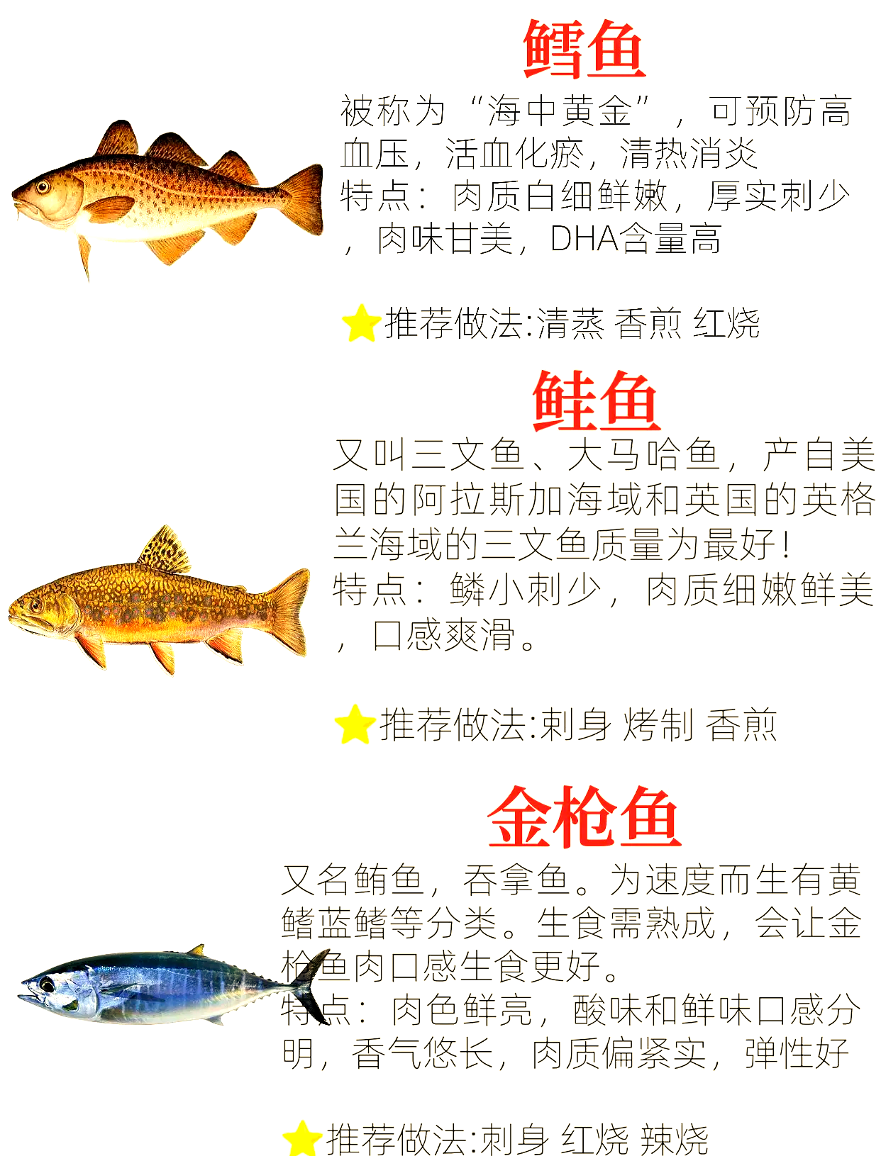 海钓判断鱼能吃(海钓怎么看有没有鱼)