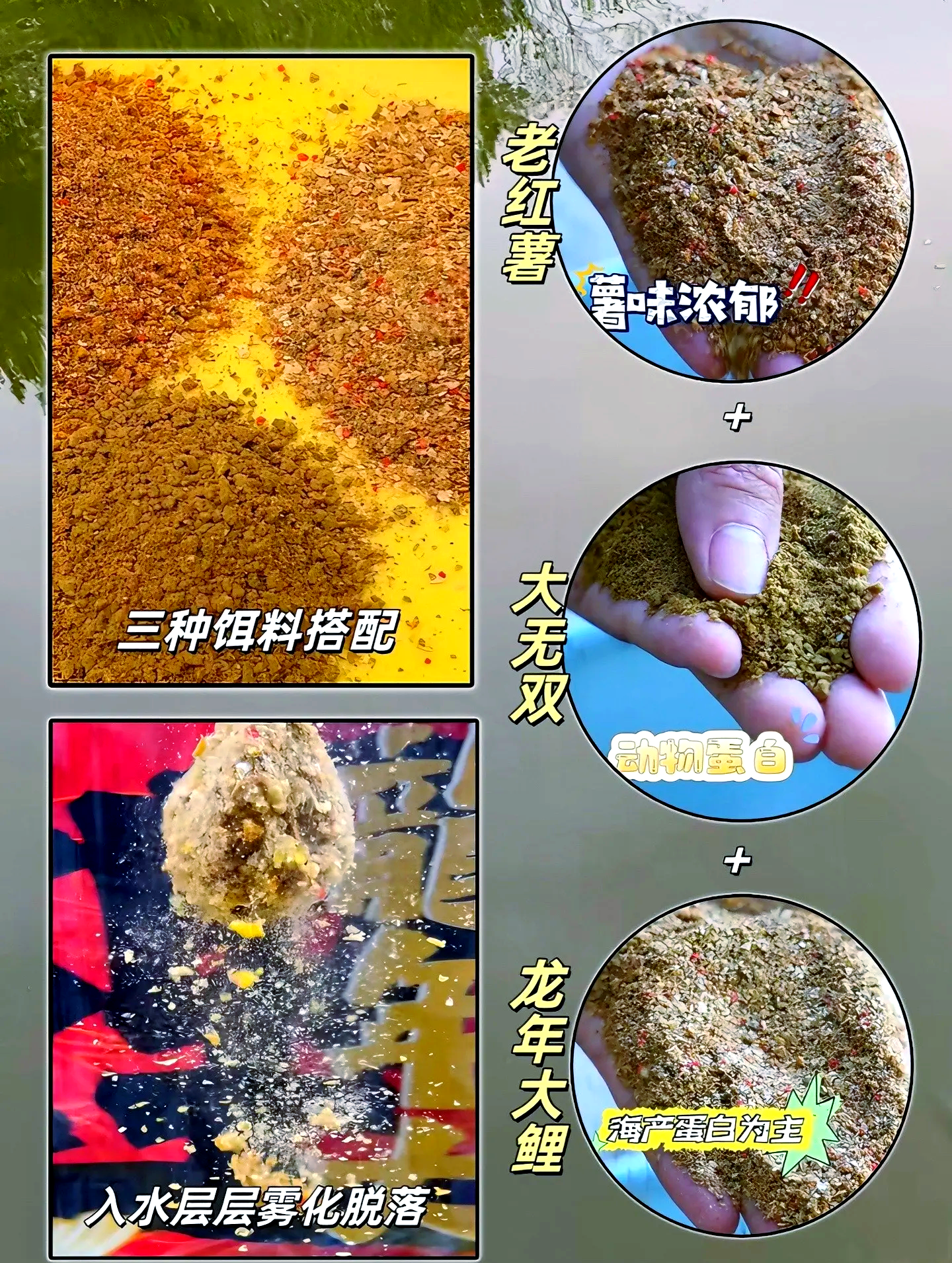 买钓鲤鱼饵料(鲤鱼饵料怎么选)