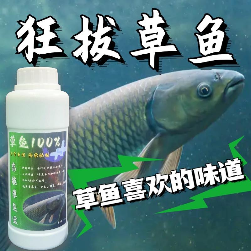 草鱼饵料玉米配方大全(草鱼用饵料好钓还是玉米好钓)