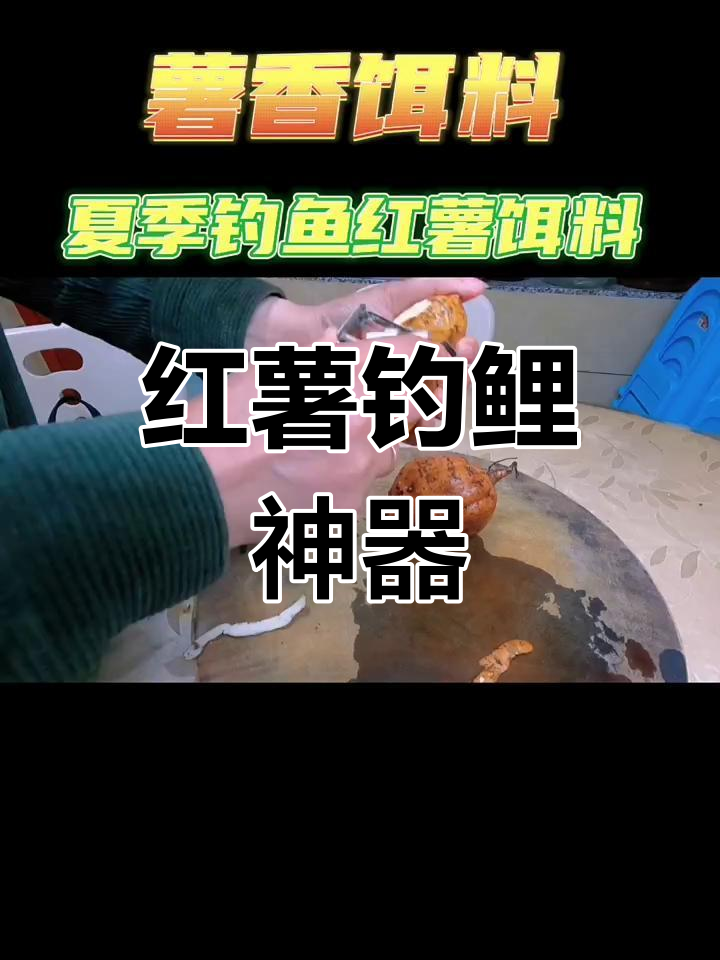 野钓鲤鱼红薯饵料(野钓鲤鱼用红薯鲤怎样配方)