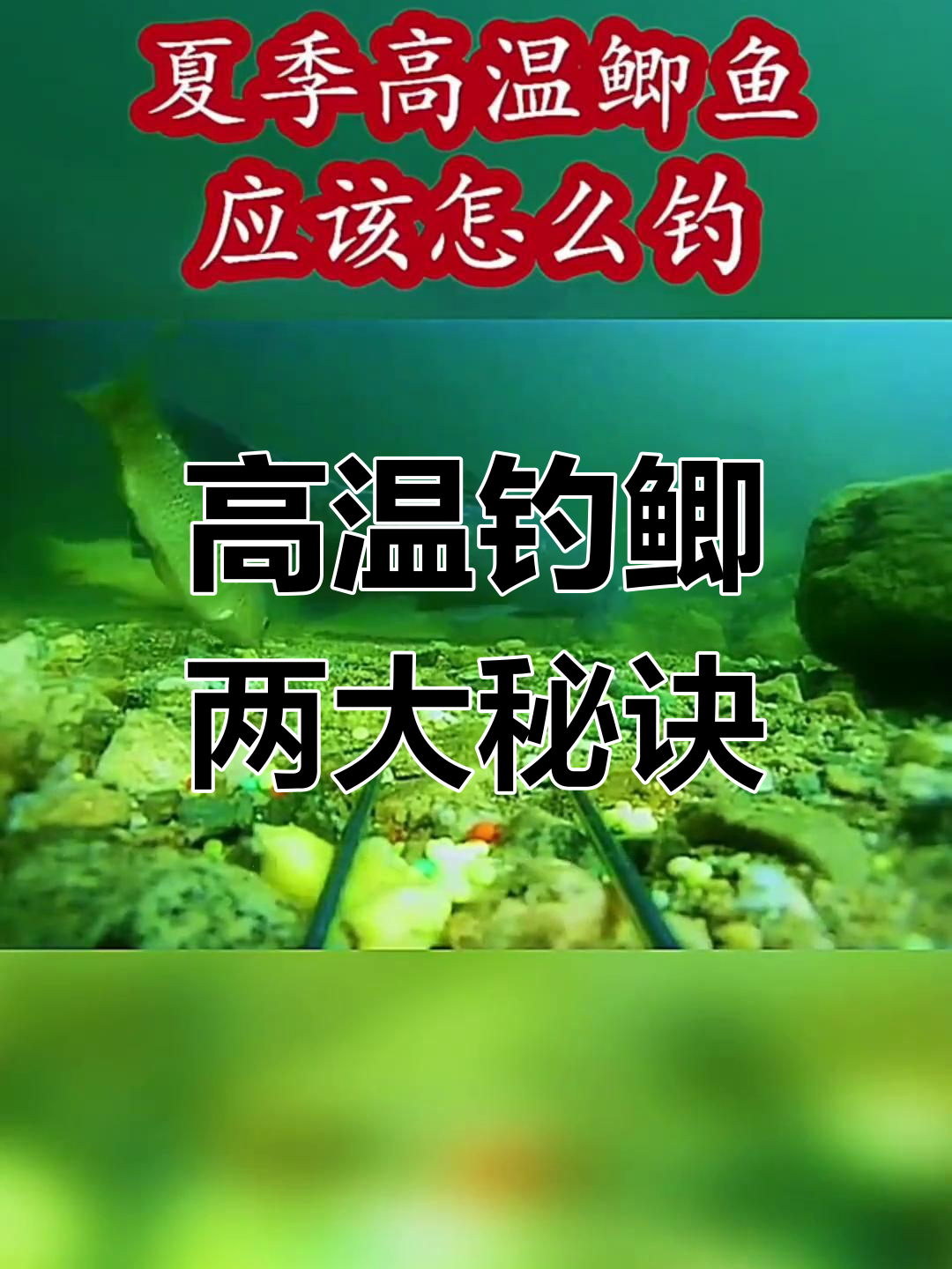 夏季钓鲫技巧(夏季钓鲫鱼技巧)