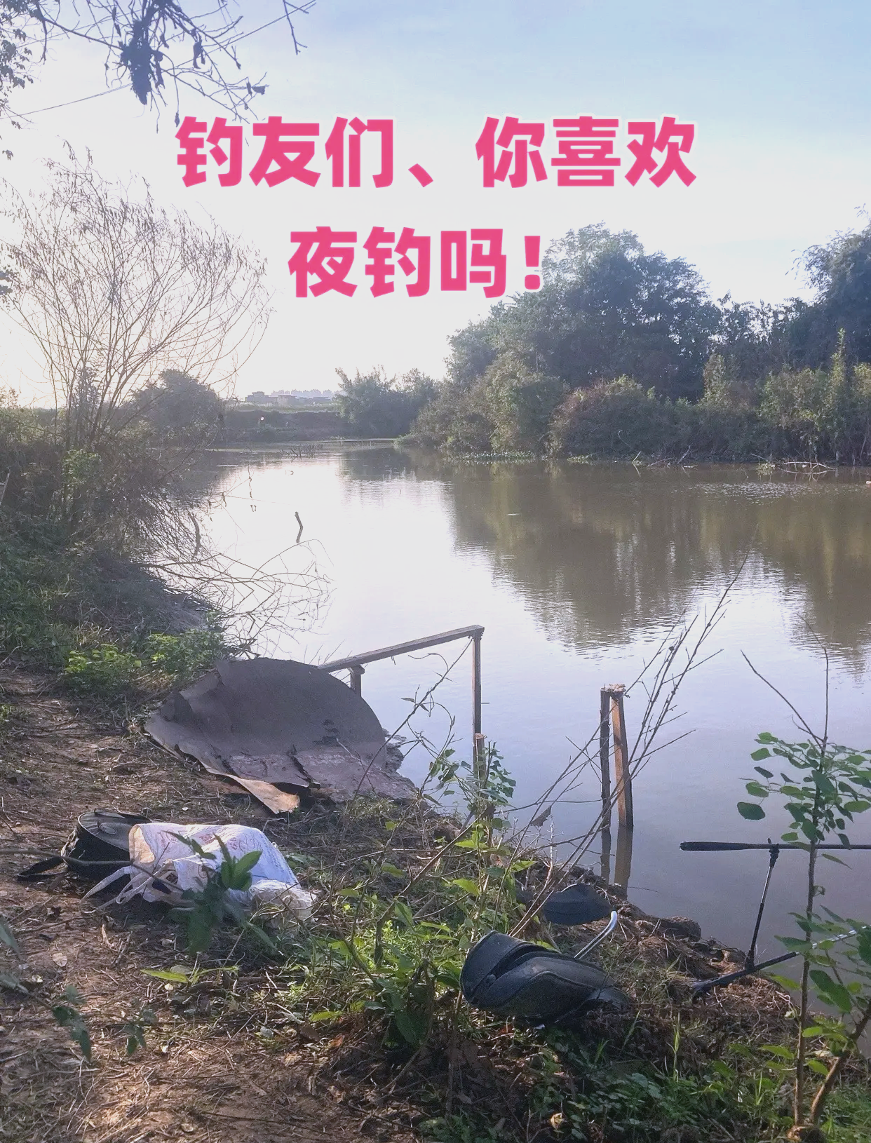 秋季夜钩鲫鱼技巧视频(秋季夜钓鲫鱼是钓深还是调浅)
