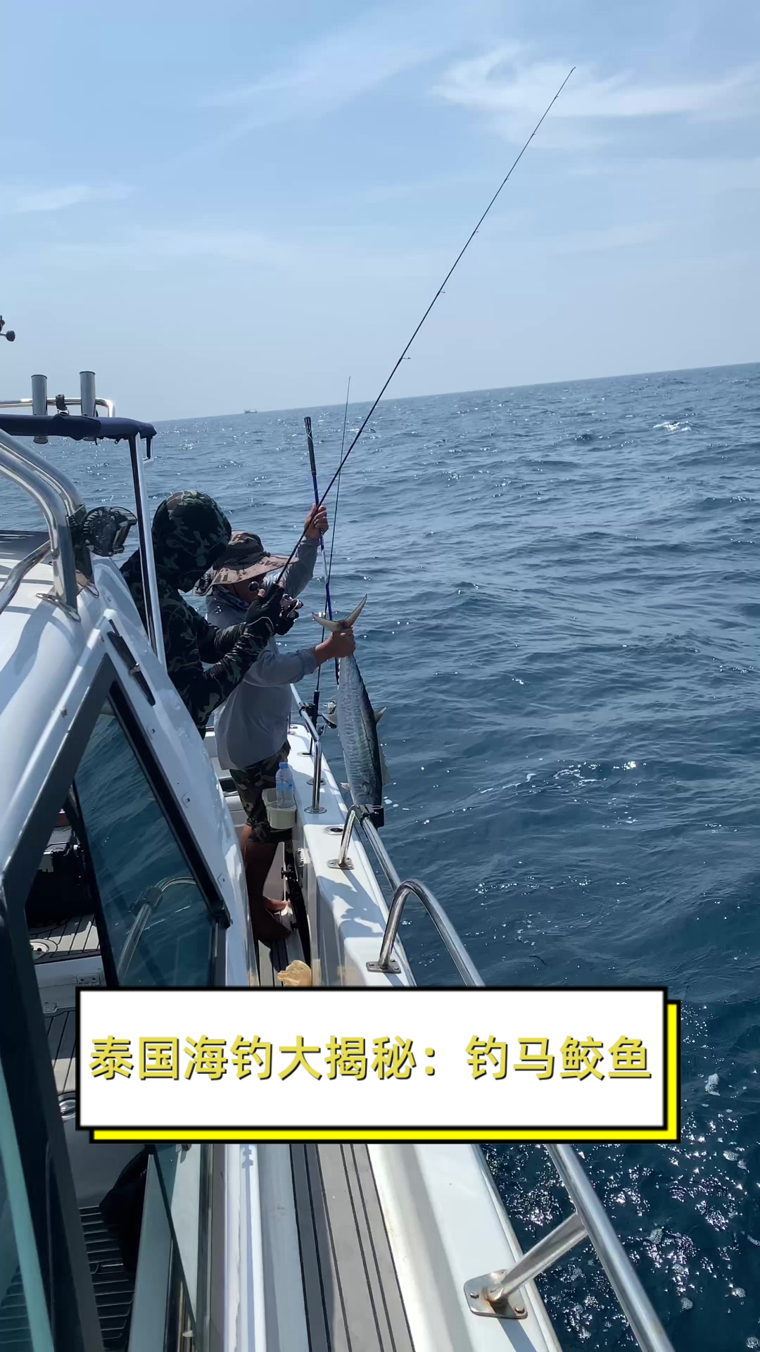 海钓马鲛鱼吃什么饵(海钓马鲛鱼吃什么饵料好)