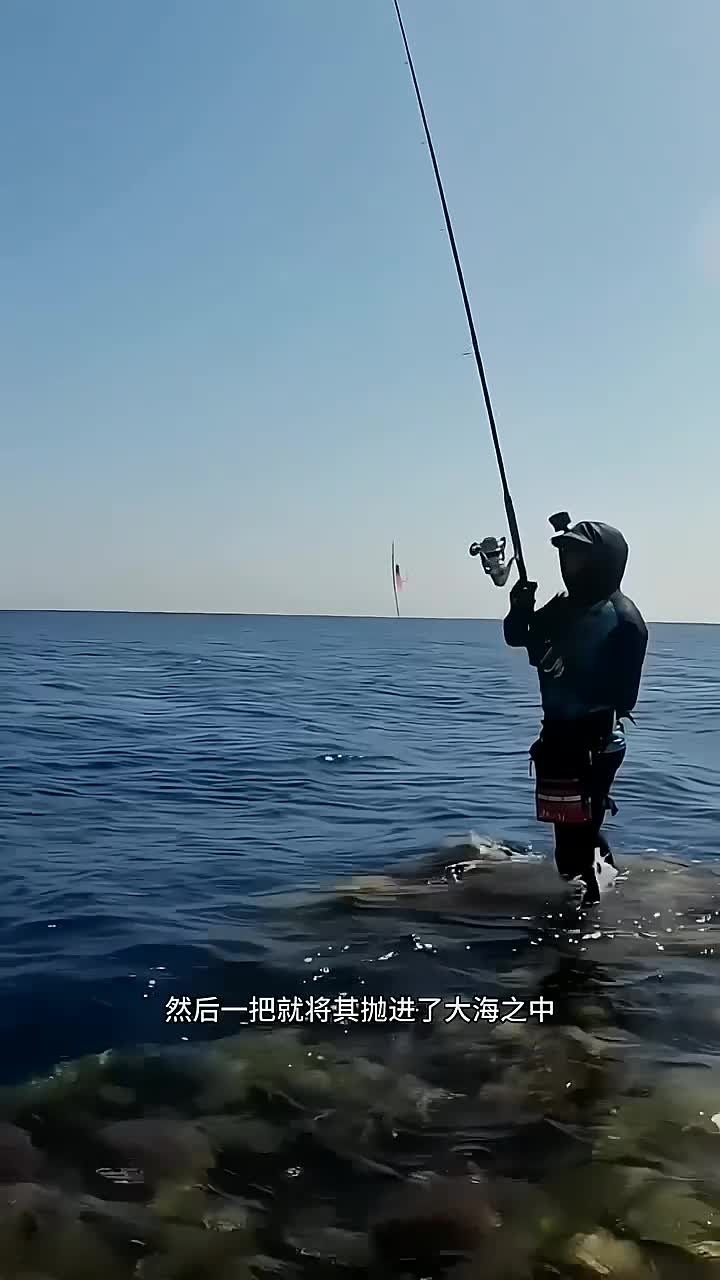 海钓路亚技巧视频高清(路亚海钓教学讲解视频教程)