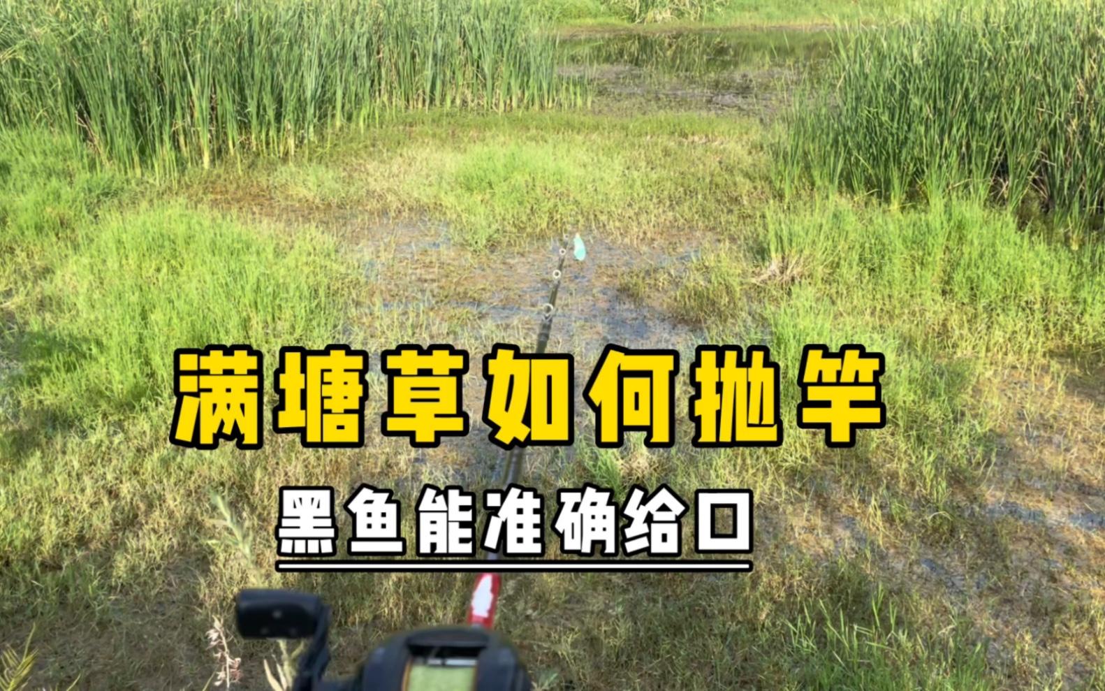 路亚黑鱼抛竿技巧(路亚竿黑鱼视频教学)