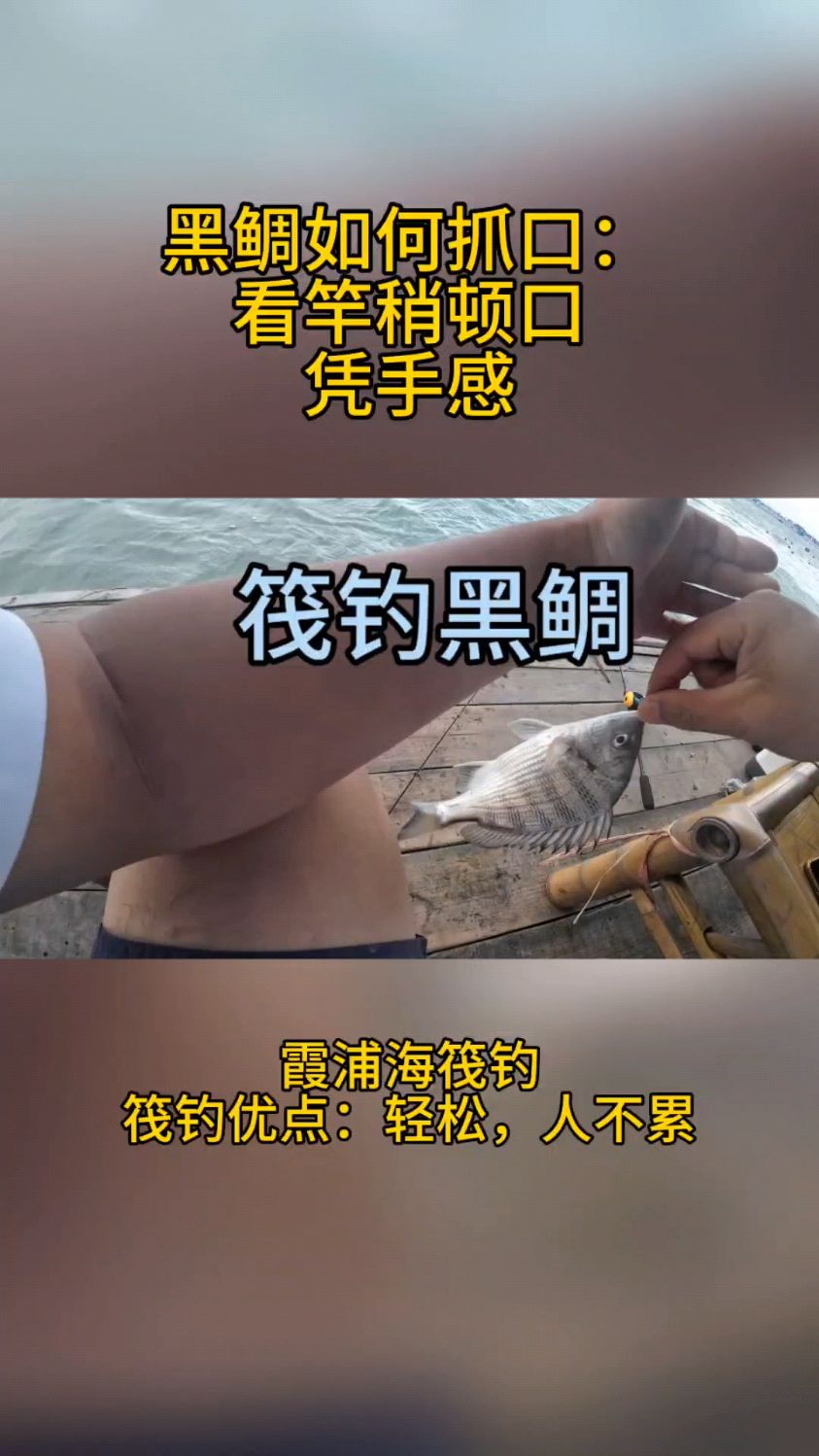 冬钓黑鲷技巧(冬天钓黑鲷温度几度好钓)
