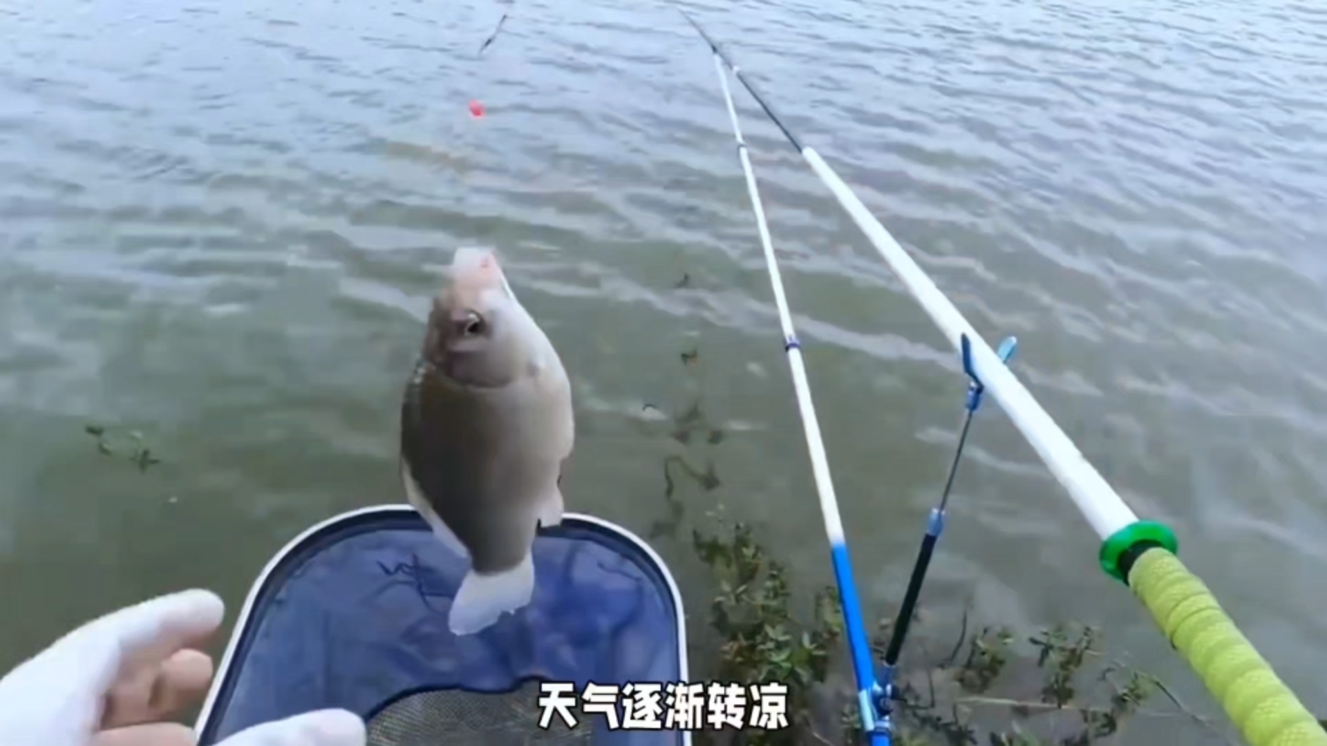 冬天降温钓鱼技巧(冬天降温当天好钓还是头天好钓)