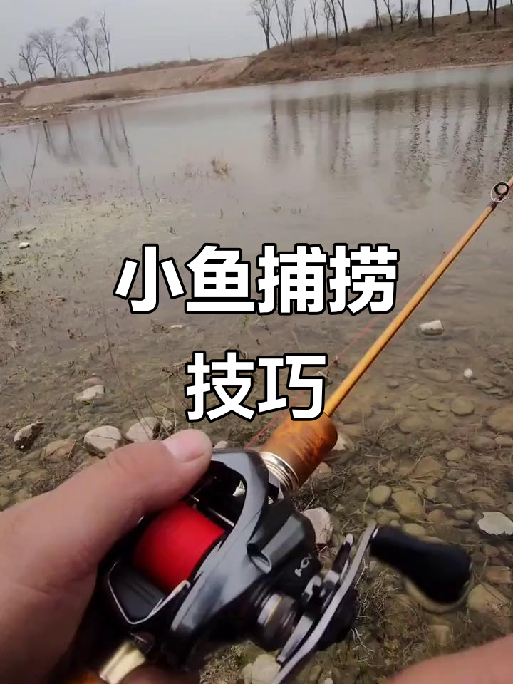 抓小鱼技巧(抓小鱼的技巧)