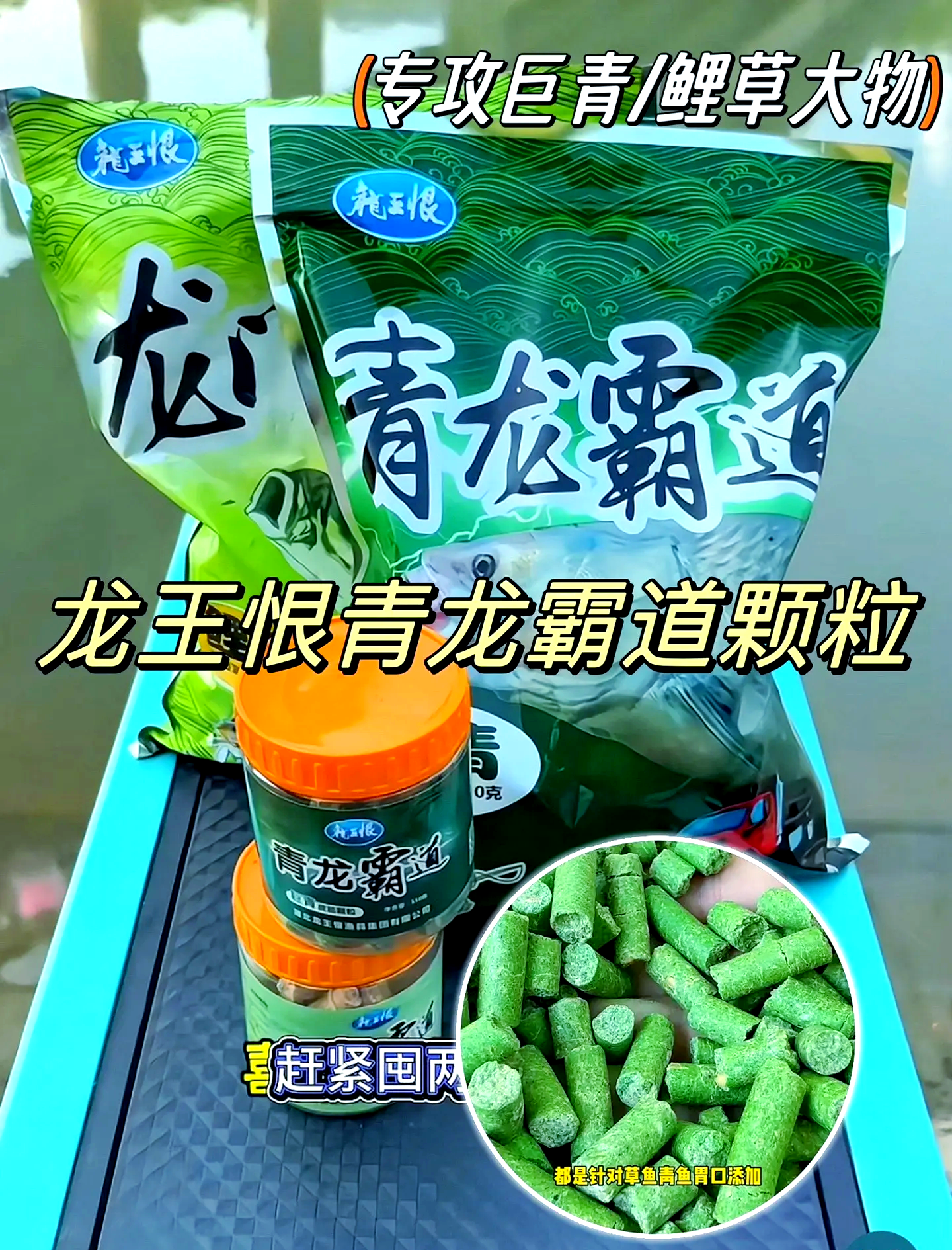 大草喜欢什么饵料(喂草的草鱼用什么钓)