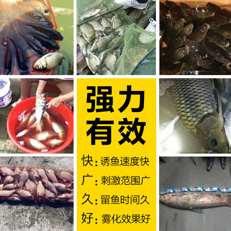 什么饵料大小通杀(什么牌子饵料通杀效果好)