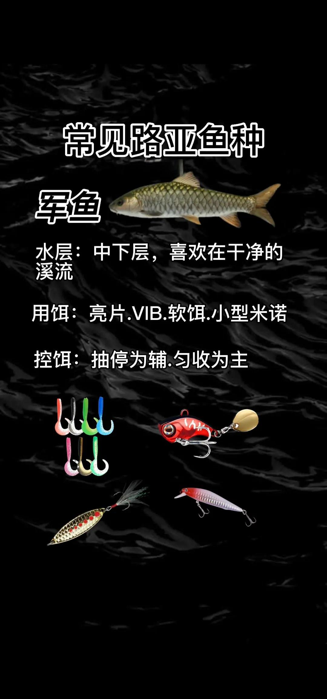 路亚和台钓哪个费钱(路亚好玩还是台钓好玩)