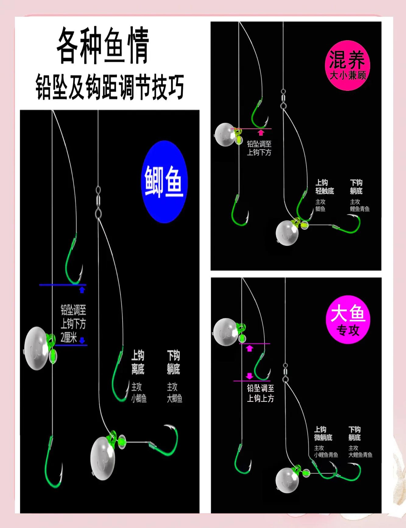钓鱼不跑鱼技巧(钓鱼不跑鱼技巧和方法)