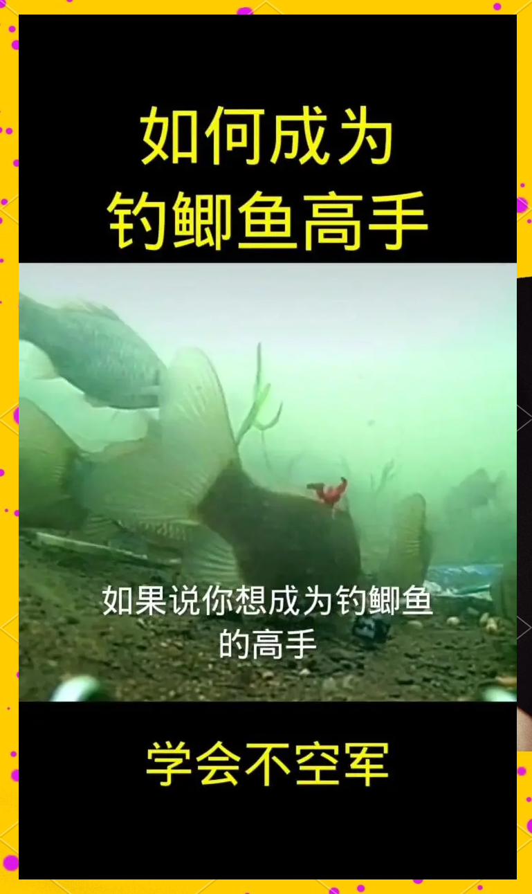 水库钓鲫鱼选位技巧视频(水库钓鲫鱼选位技巧视频教程)