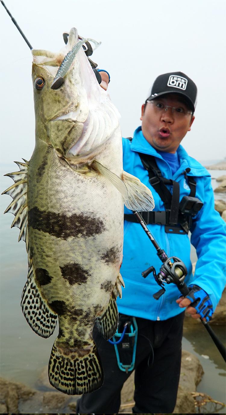 蓝旗鱼路亚等(蓝旗鱼路亚视频2019)