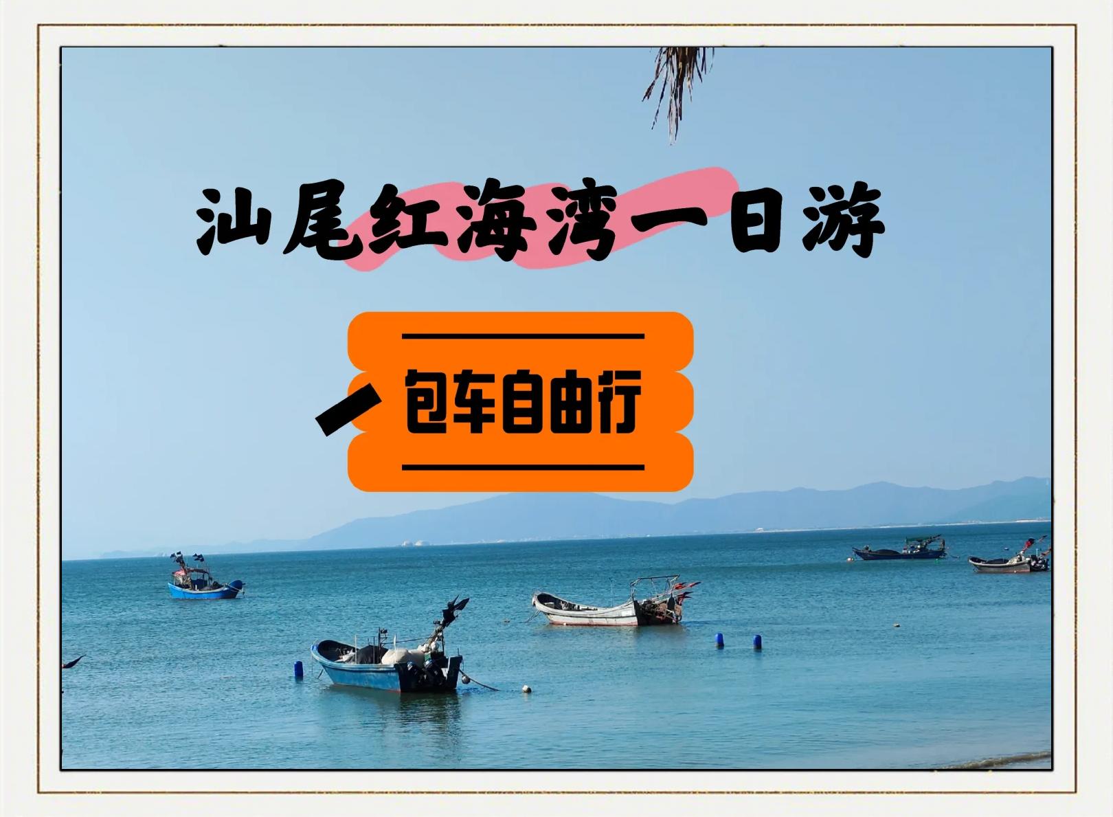 汕尾免费海钓地点(汕尾免费海钓地点有哪些)