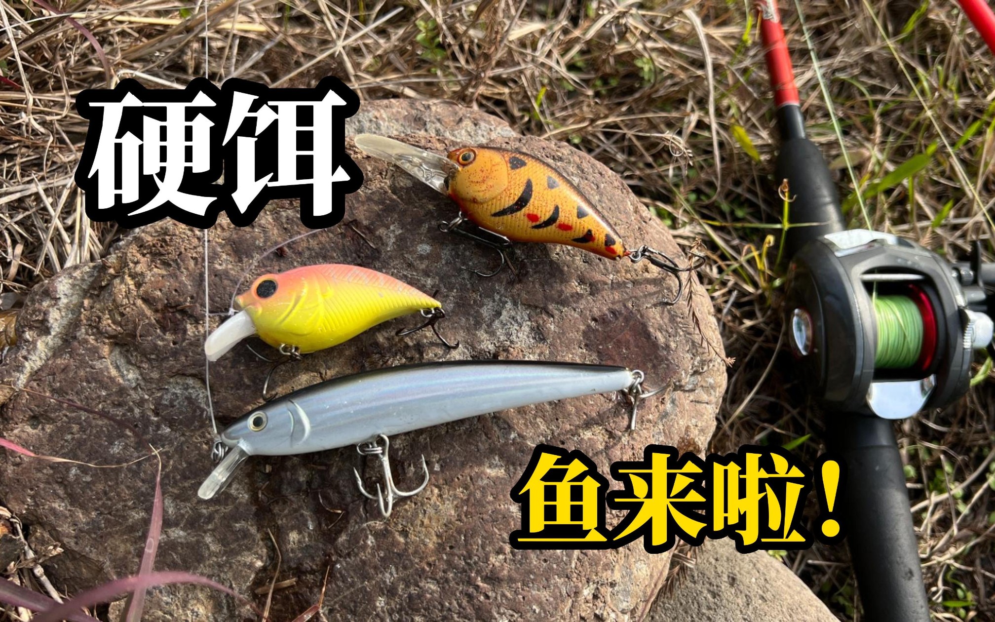 暖冬钓鱼技巧(冬季钓鱼技巧视频)