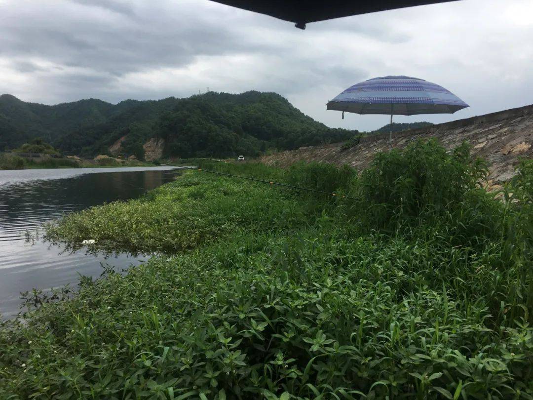 夏钓潭技巧(夏钓鱼怎么钓)