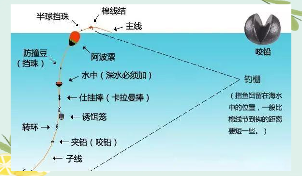 机钓技巧(怎样钓机杆)