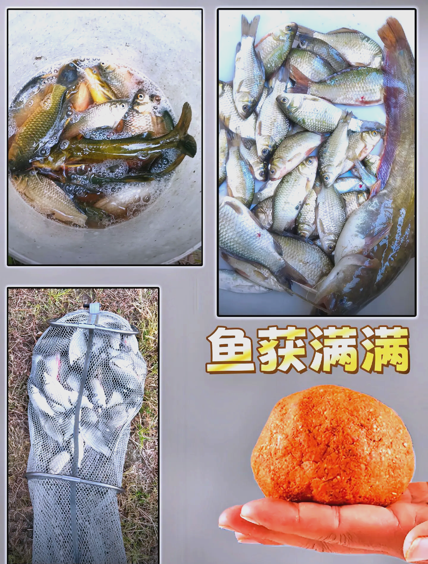 饵料在水中作用(饵料在水中作用原理)