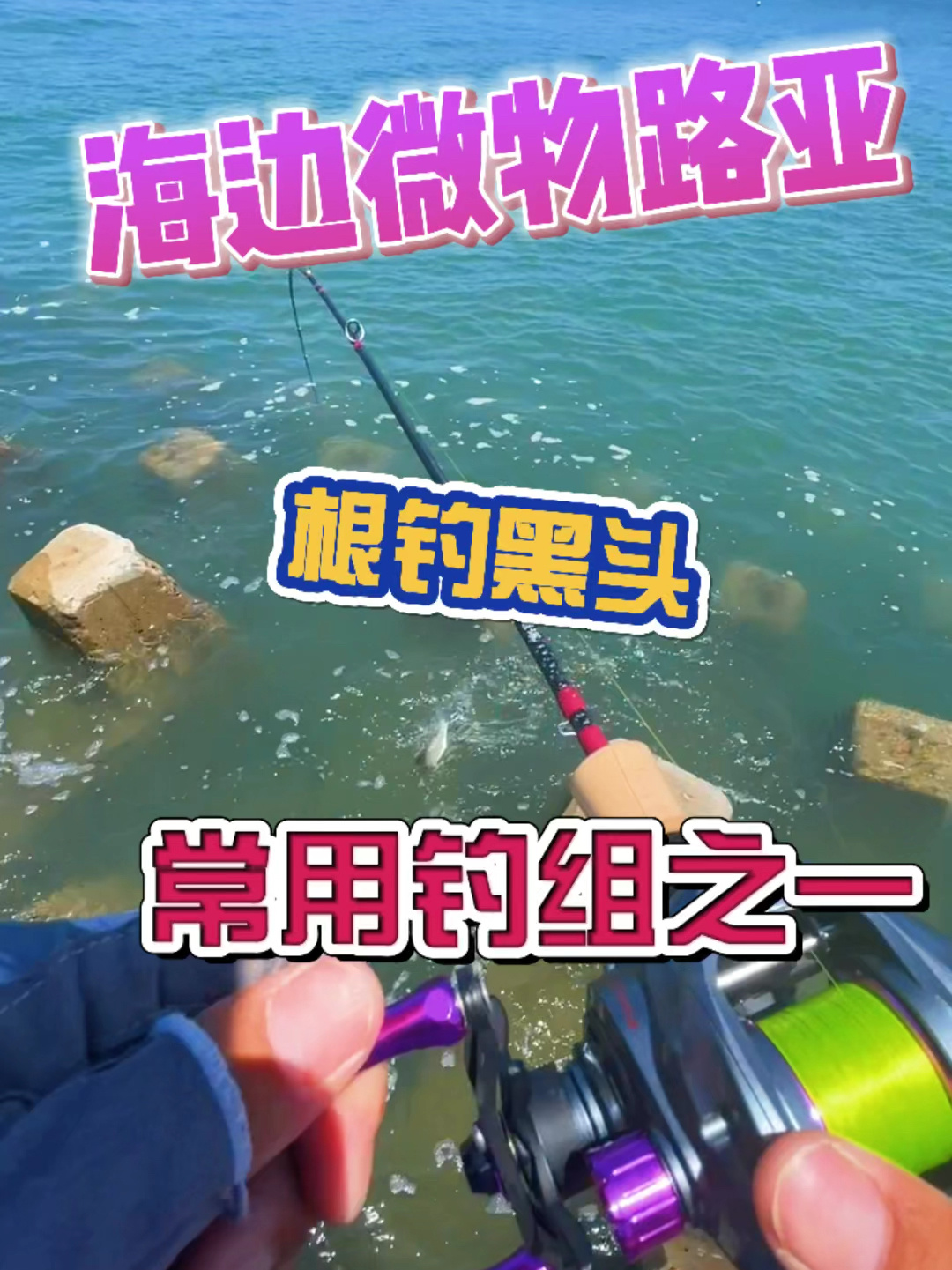 路亚海边视频(海边路亚怎么找鱼)