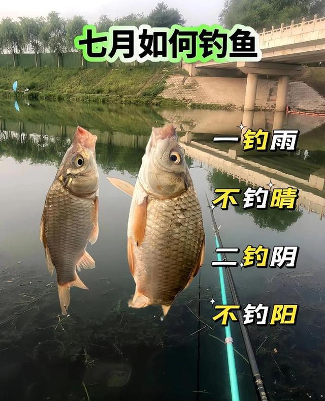 春雨钓鱼技巧(春雨游钓视频直播)
