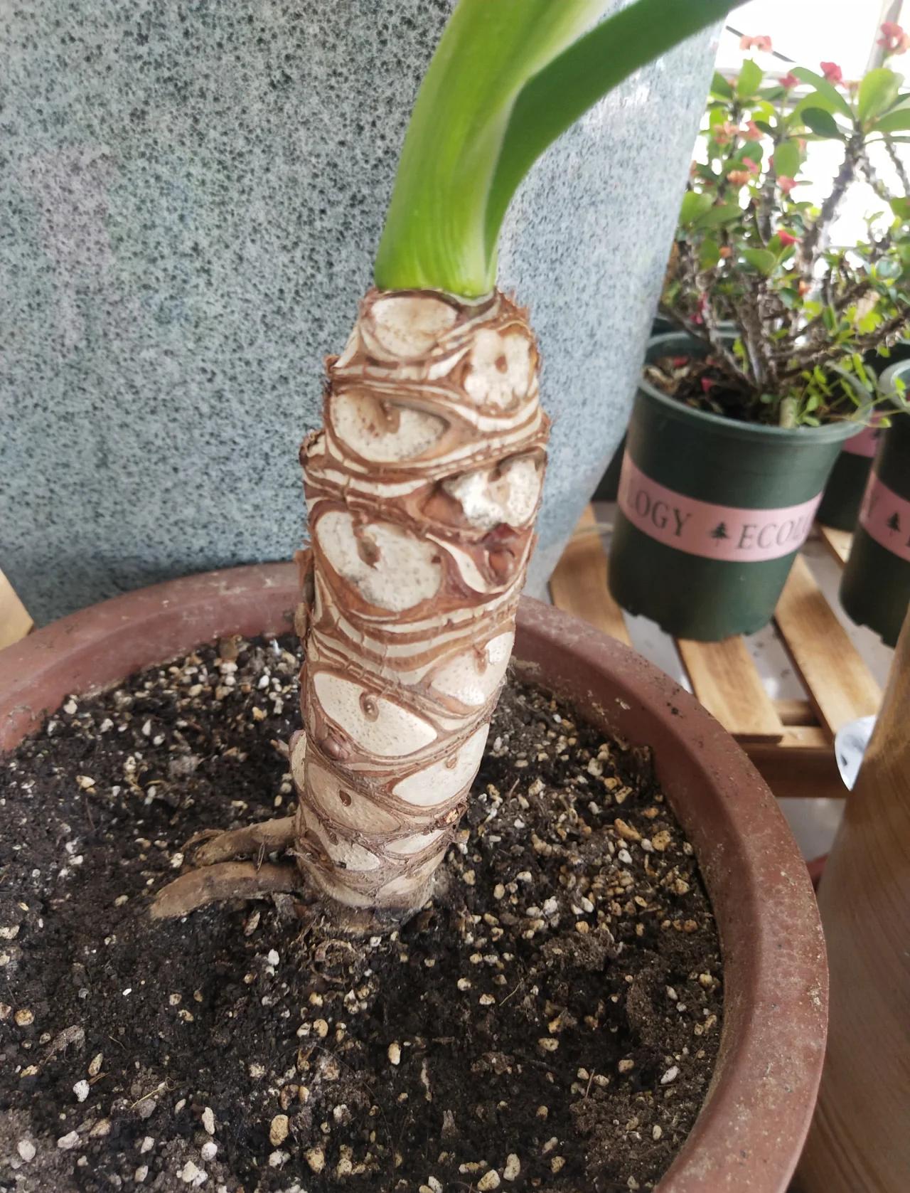 春雨钓鱼技巧(春雨游钓视频直播)