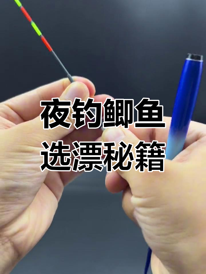 夜钓技巧在家怎么做(夜钓的技巧钓鱼教你如何夜钓)