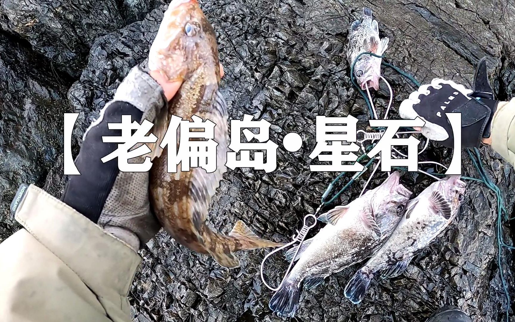 白天海钓黑鱼技巧(海钓白天和晚上的区别)