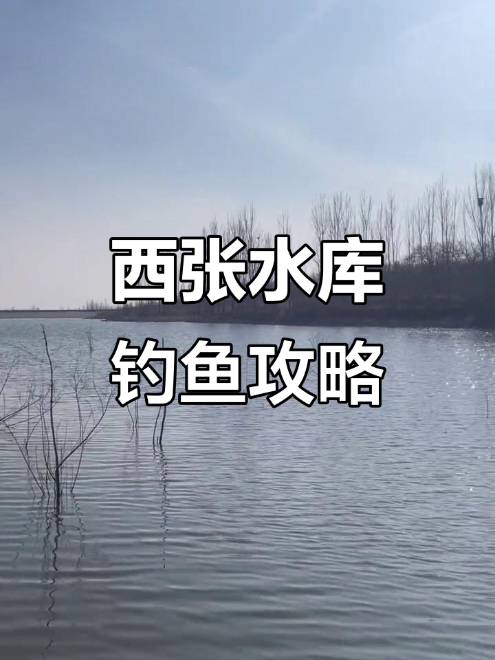 夏季水库中午钓鱼技巧(夏季水库中午钓鱼技巧和方法)