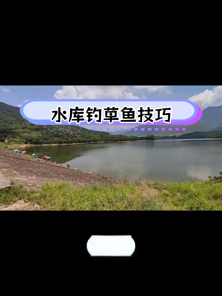 夏季水库中午钓鱼技巧(夏季水库中午钓鱼技巧和方法)