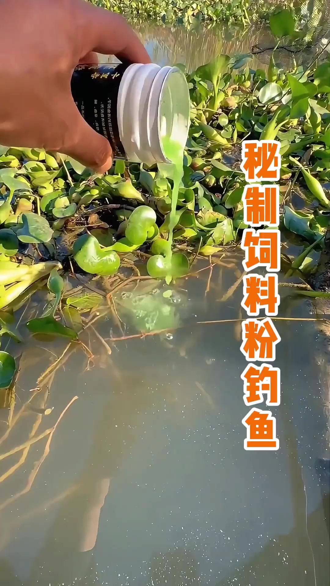 黄粉虫海钓(黄粉虫能当鱼饵吗)