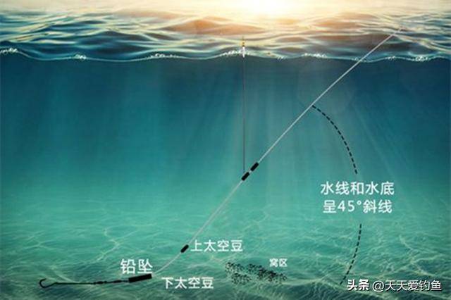 黑坑钓鲤鱼跑铅技巧(黑坑钓鲤鱼跑铅技巧图解)