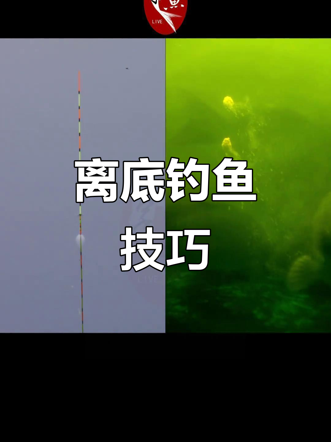 饵料雾化时间(饵料雾化什么意思)